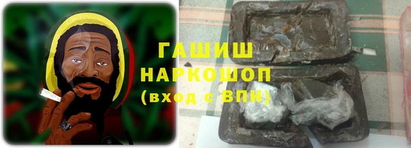 индика Бугульма