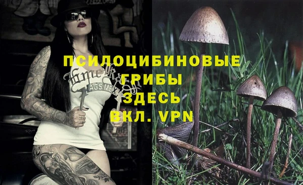 бошки Бородино
