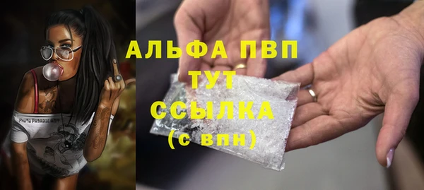 индика Бугульма