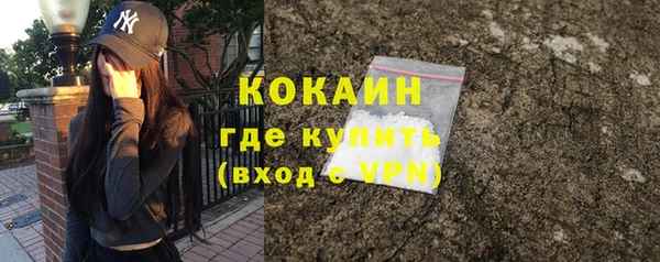 PSILOCYBIN Бронницы