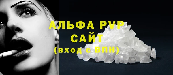 PSILOCYBIN Бронницы