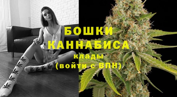 индика Бугульма