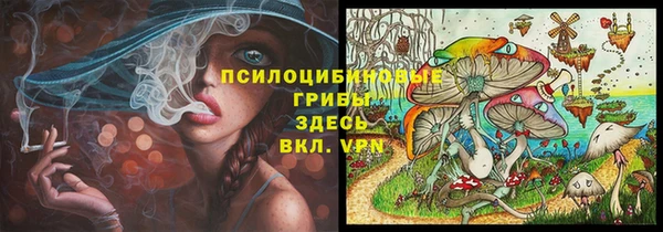 бошки Бородино
