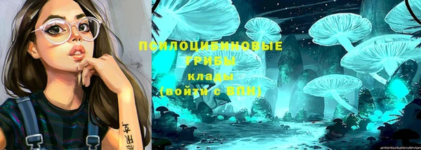 индика Бугульма