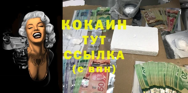 бошки Бородино