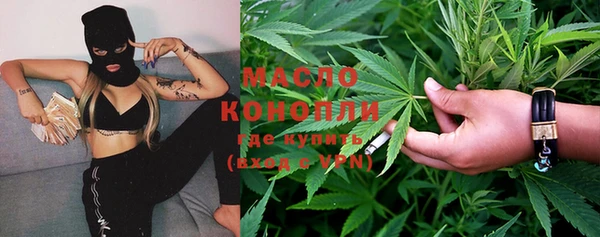 индика Бугульма