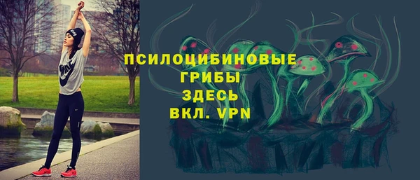 бошки Бородино