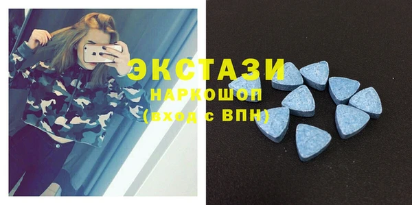 индика Бугульма
