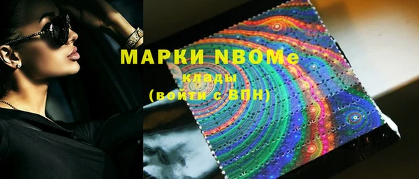 бошки Бородино