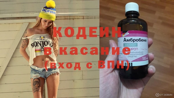 индика Бугульма