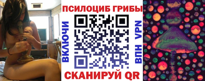 купить закладку  Шумерля  Псилоцибиновые грибы Psilocybine cubensis 